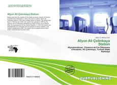 Buchcover von Afyon Ali Çetinkaya Station