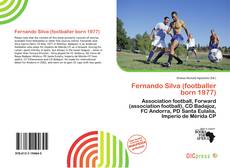 Capa do livro de Fernando Silva (footballer born 1977) 
