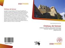 Borítókép a  Château de Saissac - hoz