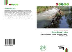 Bookcover of Amadjuak Lake