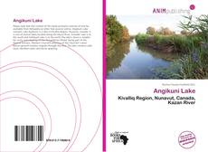 Capa do livro de Angikuni Lake 