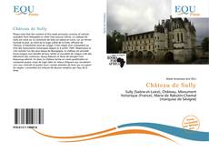 Bookcover of Château de Sully