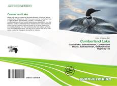 Buchcover von Cumberland Lake