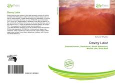 Bookcover of Davey Lake