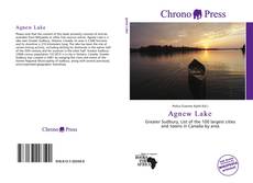 Capa do livro de Agnew Lake 