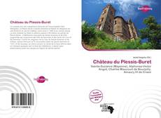 Château du Plessis-Buret的封面