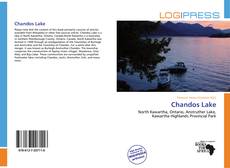 Bookcover of Chandos Lake