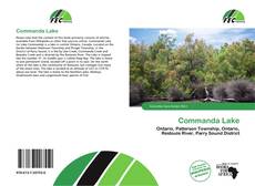 Copertina di Commanda Lake