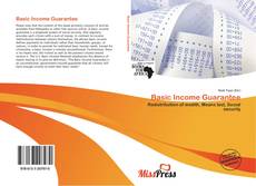 Basic Income Guarantee的封面