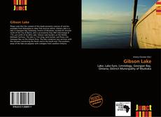 Copertina di Gibson Lake