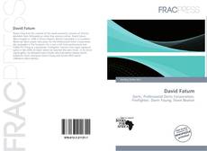 Обложка David Fatum