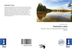 Buchcover von Hammer Lake