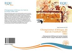 Borítókép a  Championnat d'Afrique du Sud de Football 2000-2001 - hoz