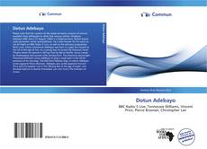 Capa do livro de Dotun Adebayo 