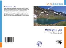 Mameigwess Lake kitap kapağı