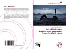 Capa do livro de Lake Mindemoya 