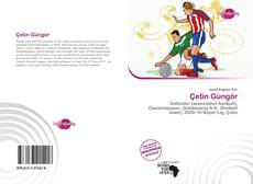 Bookcover of Çetin Güngör