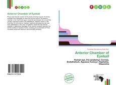 Bookcover of Anterior Chamber of Eyeball