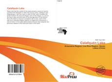 Copertina di Calafquén Lake