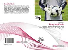 Portada del libro de Dragi Kaličanin