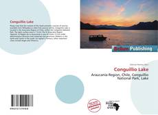 Conguillío Lake的封面