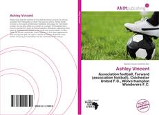 Portada del libro de Ashley Vincent