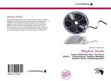 Capa do livro de Meghna Naidu 