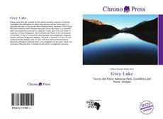 Buchcover von Grey Lake