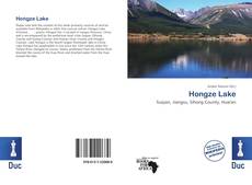 Bookcover of Hongze Lake