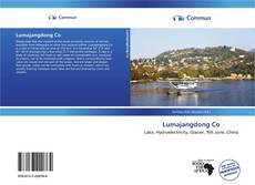 Capa do livro de Lumajangdong Co 