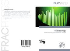 Mesosociology的封面