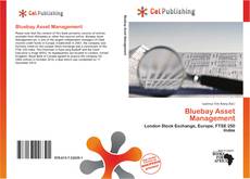 Capa do livro de Bluebay Asset Management 