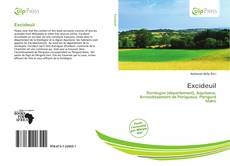 Bookcover of Excideuil