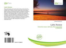 Bookcover of Lake Awasa