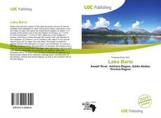 Capa do livro de Lake Bario 