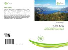 Bookcover of Lake Zway