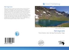 Sørvágsvatn的封面