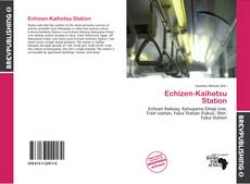 Buchcover von Echizen-Kaihotsu Station