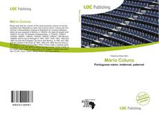 Bookcover of Mário Coluna