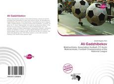 Bookcover of Ali Gadzhibekov