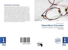 Bookcover of Expenditure Cascades