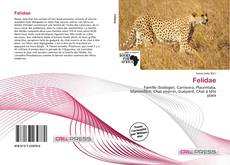 Couverture de Felidae