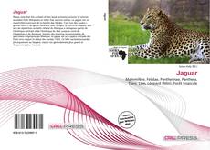 Couverture de Jaguar