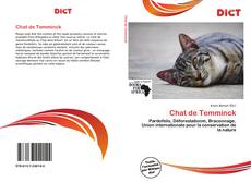 Couverture de Chat de Temminck