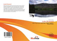 Copertina di Lake Bramant