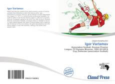 Bookcover of Igor Varlamov