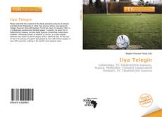 Bookcover of Ilya Telegin