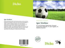 Couverture de Igor Strelkov