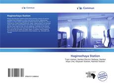 Haginochaya Station kitap kapağı