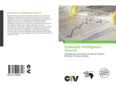 Economic Intelligence Council kitap kapağı